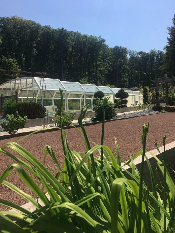 Logis Hotel Domaine Du Moulin 생타볼트 외부 사진